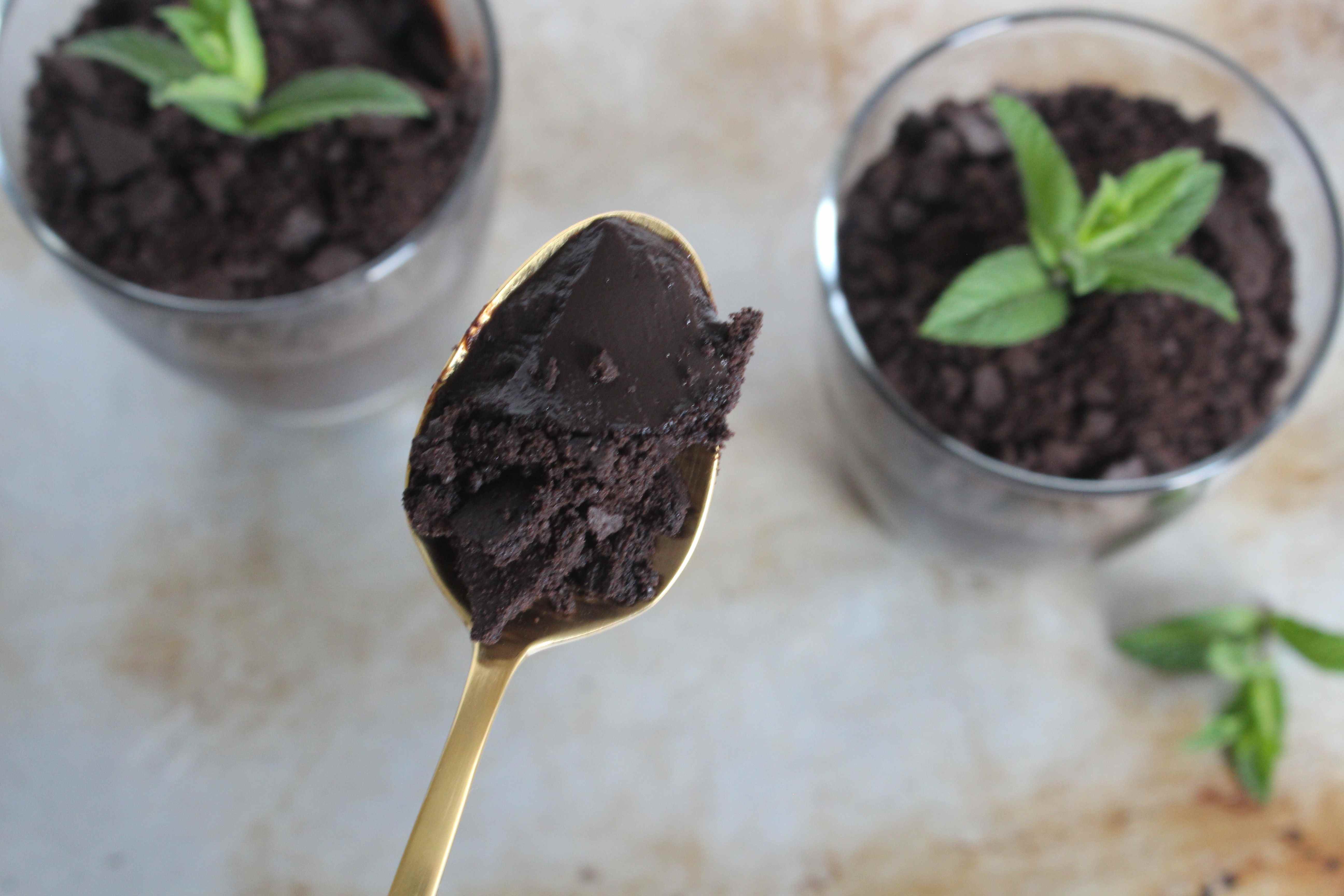 overhead view of a scoop of chocolate pudding on a spoon