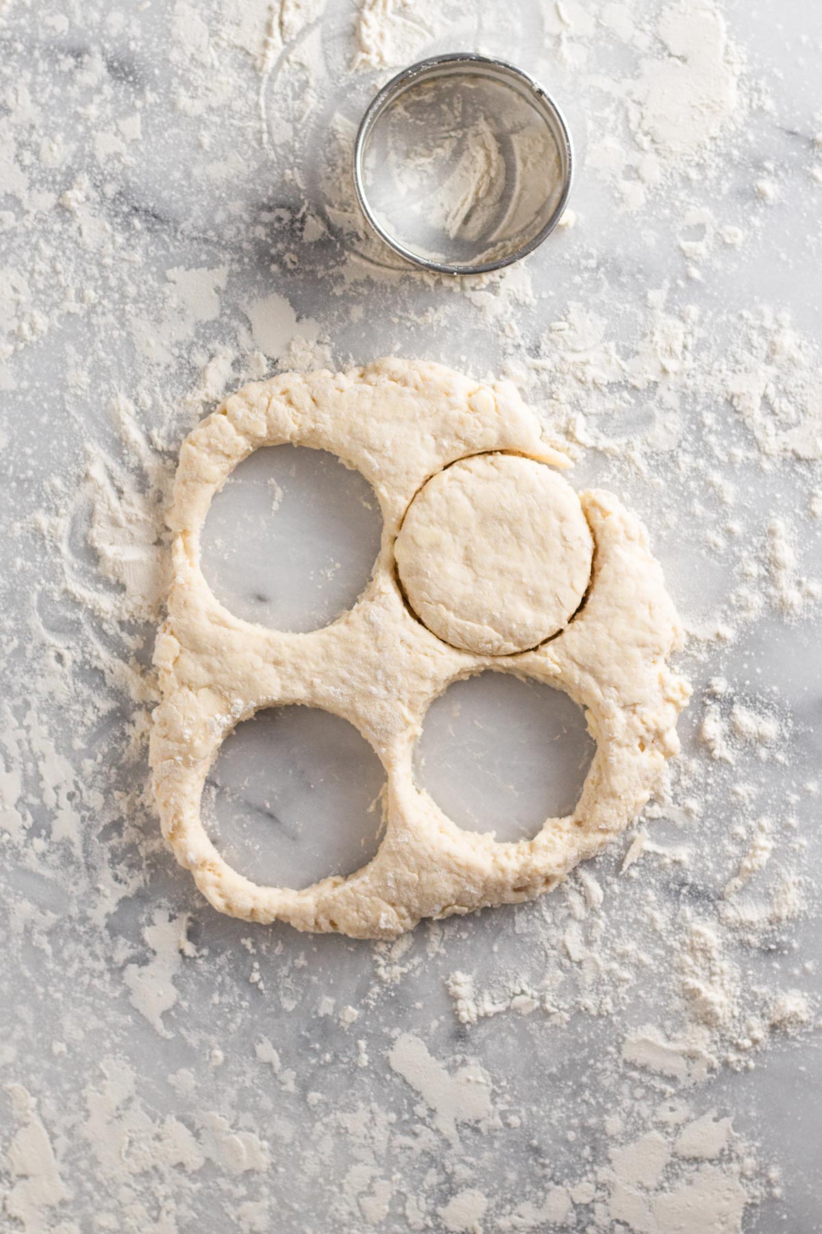 overhead view of cut out biscuit dough on a floured marble surface