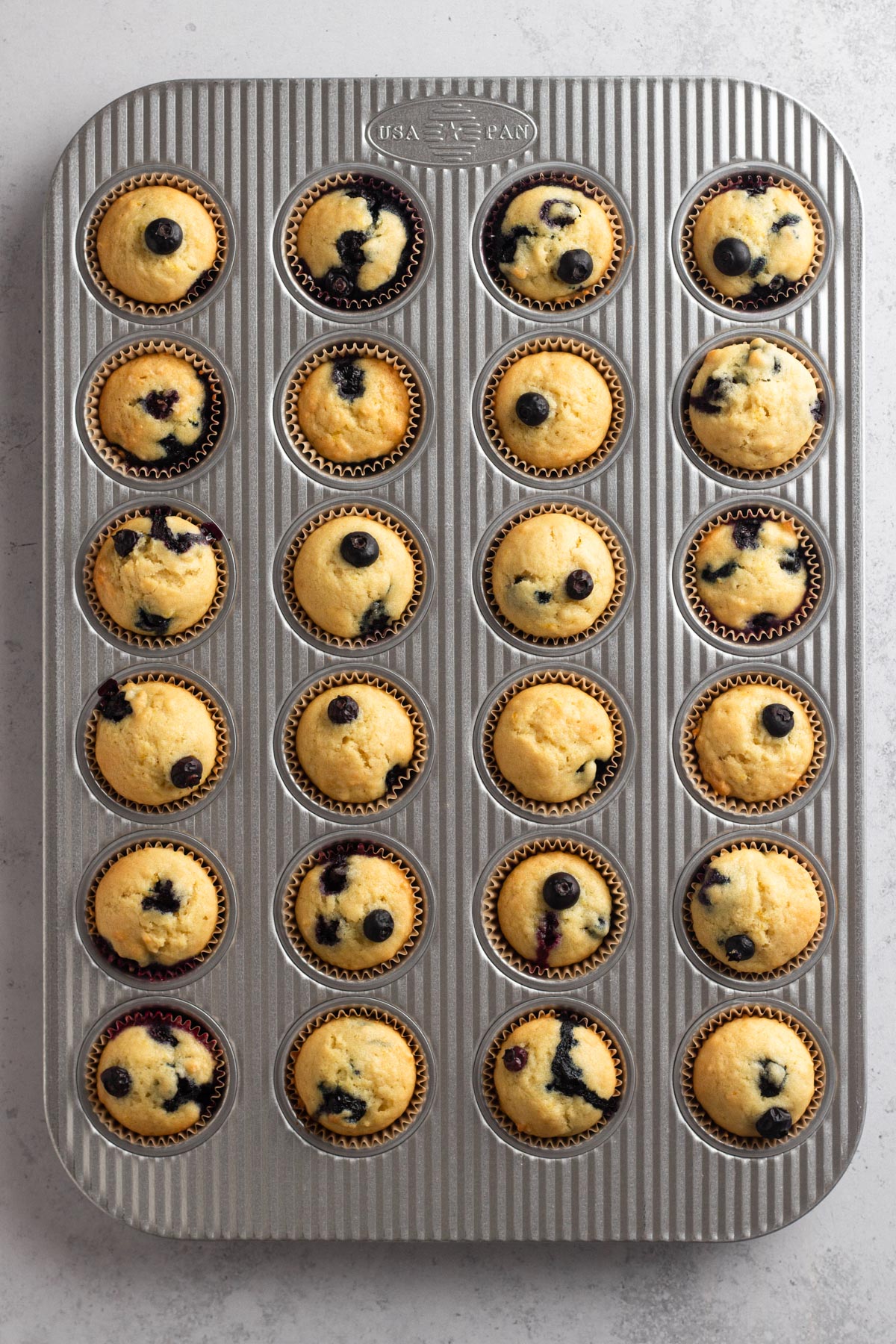 Baked mini blueberry muffins in a muffin pan.