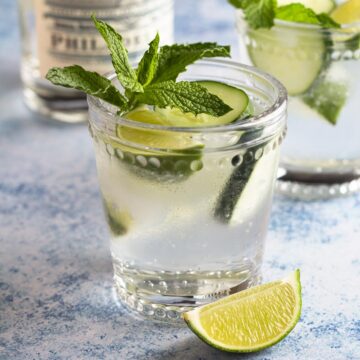 Gin and tonic garnished with a lime wedge, cucumber slices, and a sprig of mint.