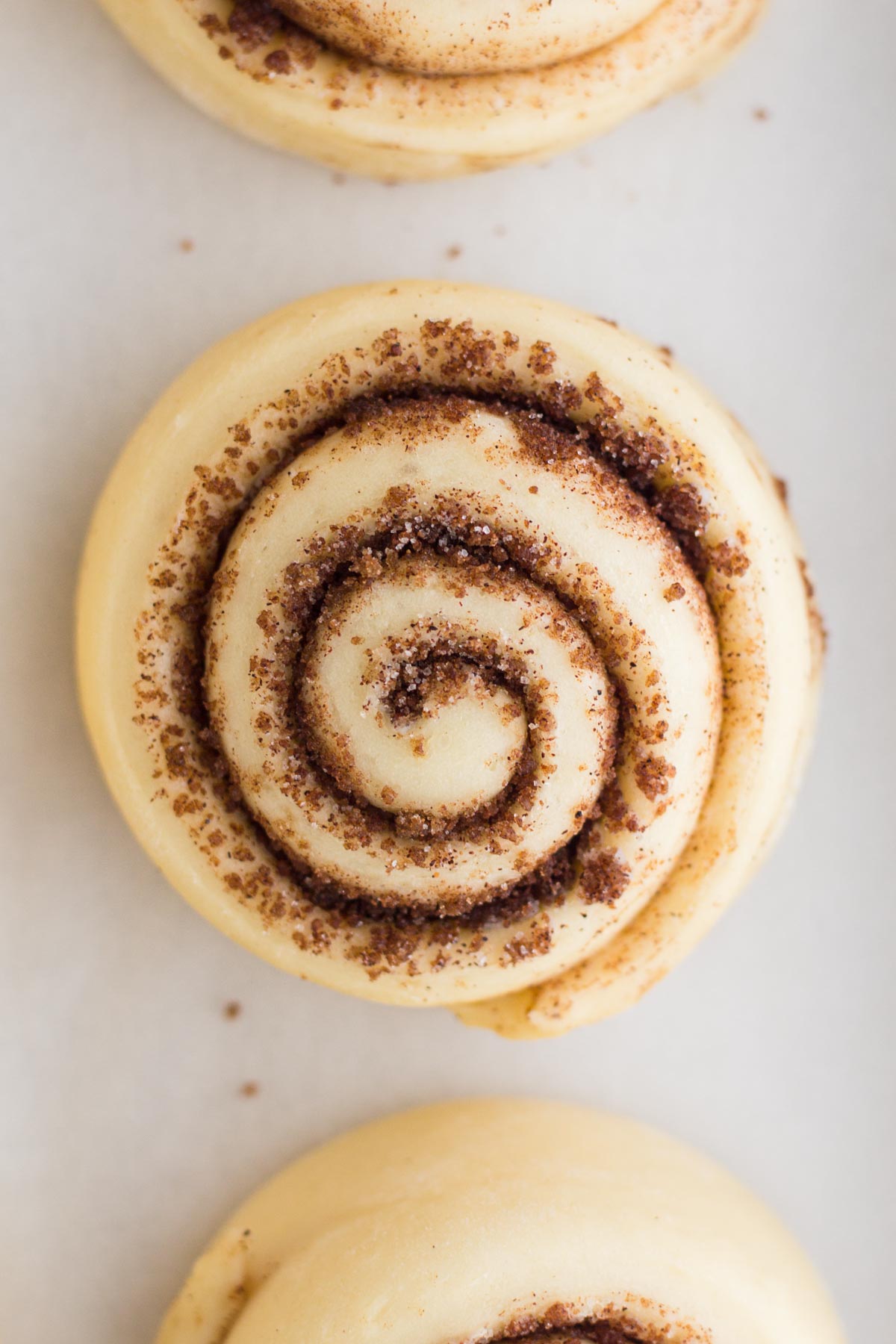 Overhead view of an unbaked cinnamon roll on a white surface.