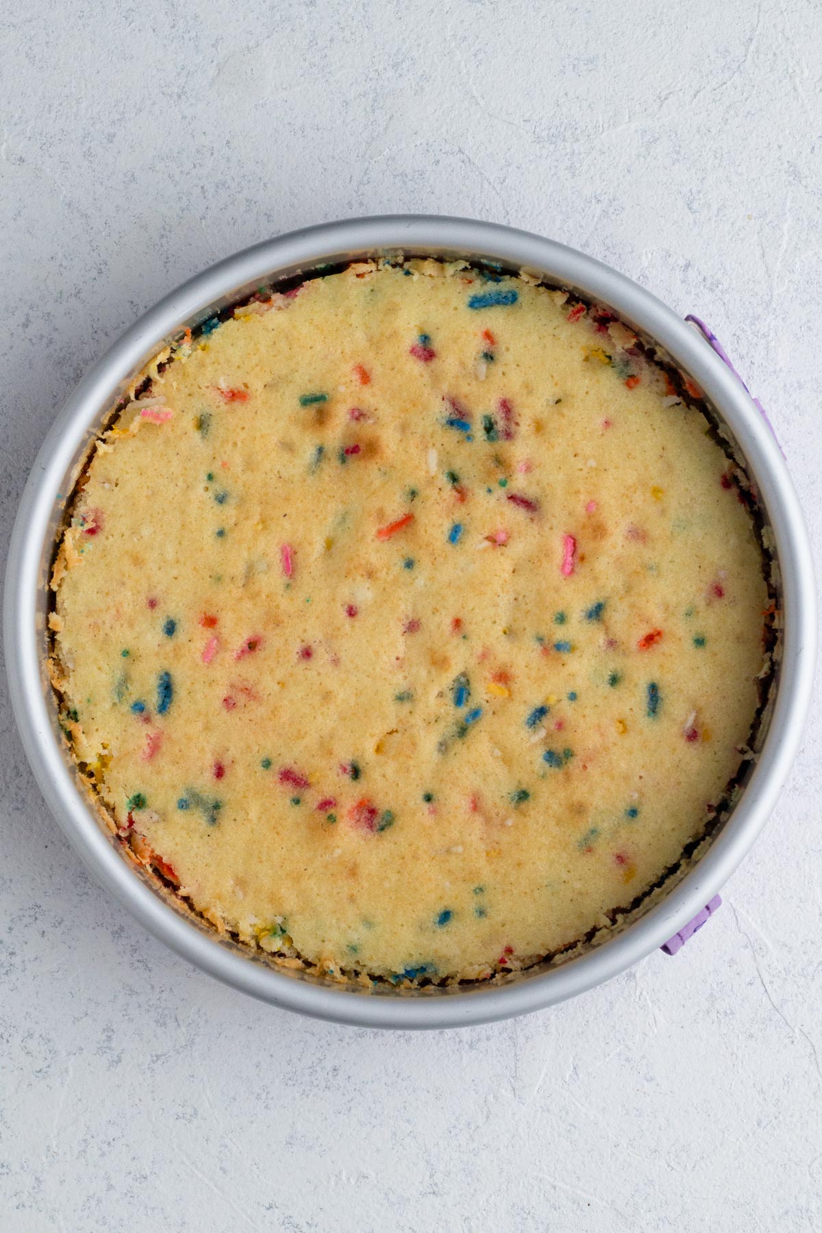 Baked cake in round cake pan.