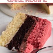 Close up view of a slice of neapolitan cake and a forkful of cake with a text overlay.