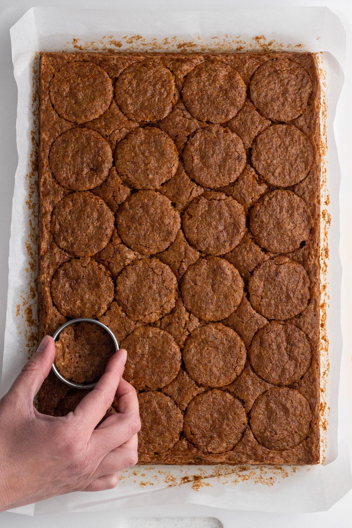 Hand using a round biscuit cutter to cut small circles of cake.