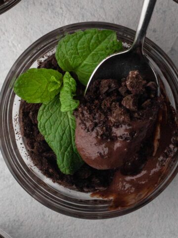 A spoonful of chocolate pudding with crushed chocolate wafers and a sprig of fresh mint.