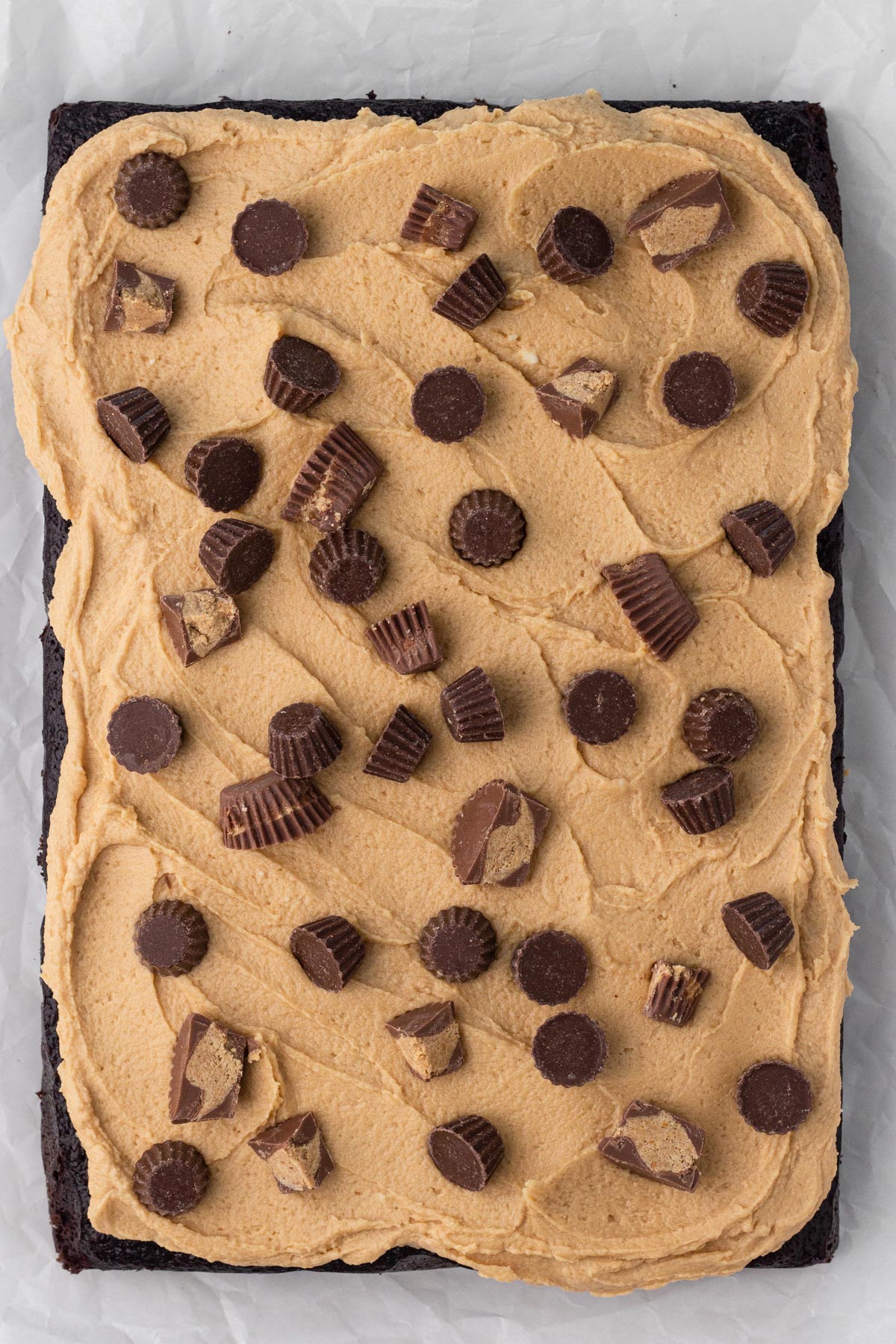 Cake topped with frosting and peanut butter cups.