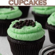 A chocolate cupcake topped with green frosting and mini chocolate chips with a text overlay.