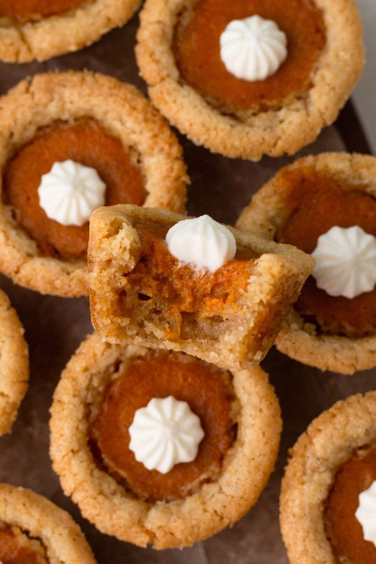 Angled view of a bitten sugar cookie cup with pumpkin pie filling and whipped cream.